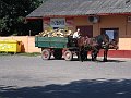IMG_1013 (2)